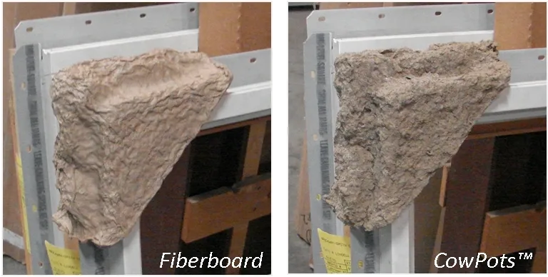 comparing cowpots packaging corners to fiberboard on windows.