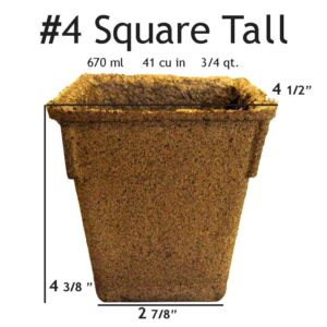 #4 Square Tall