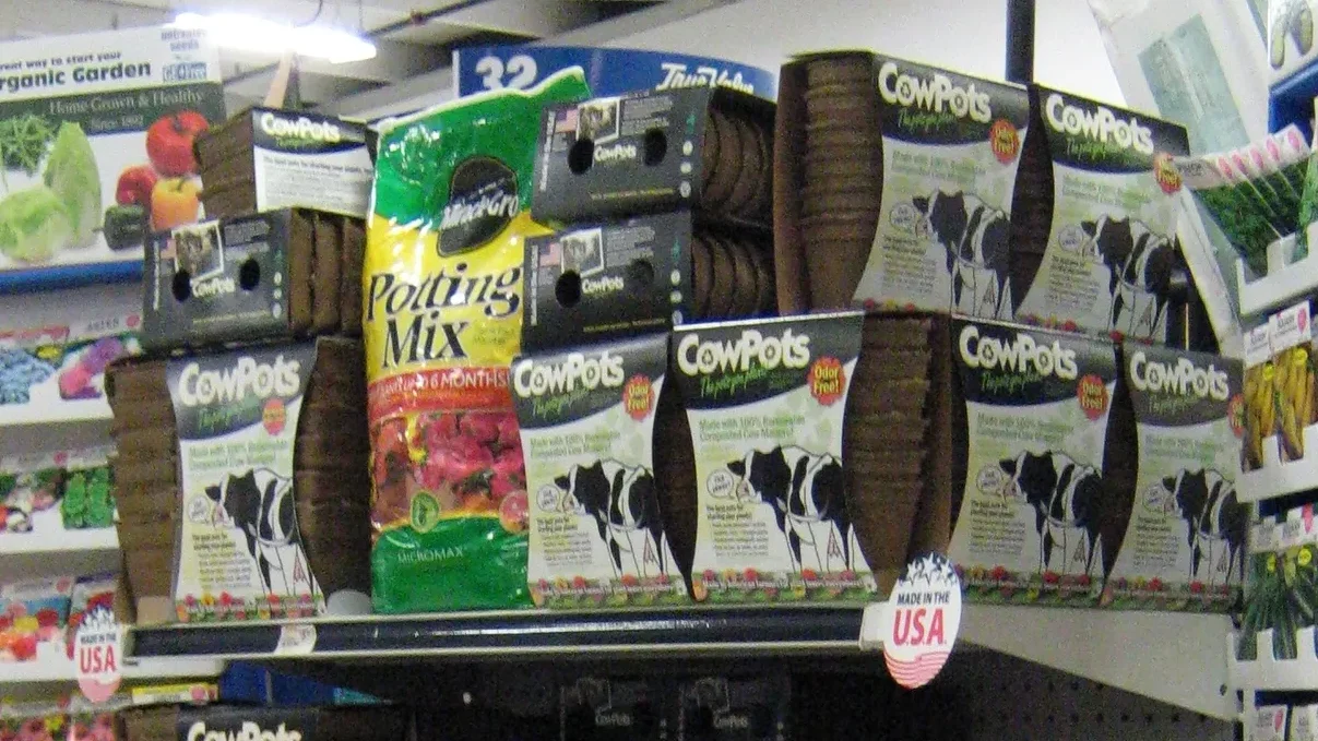 CowPots retail packs on display with seed rack at a True Value store.