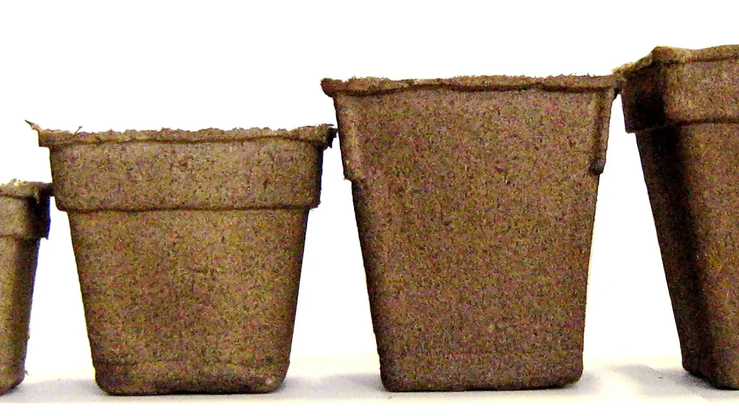 Range of CowPots biodegradable pot sizes, 3 inches to 5 inches square.