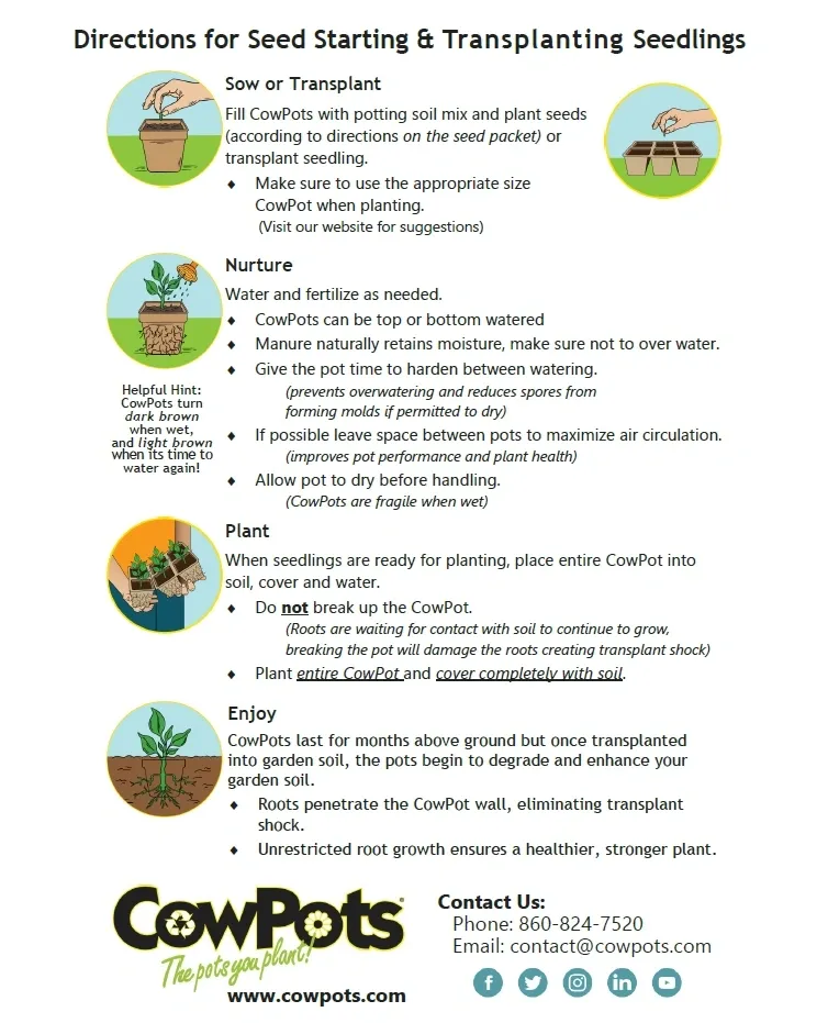 cowpots growing directions