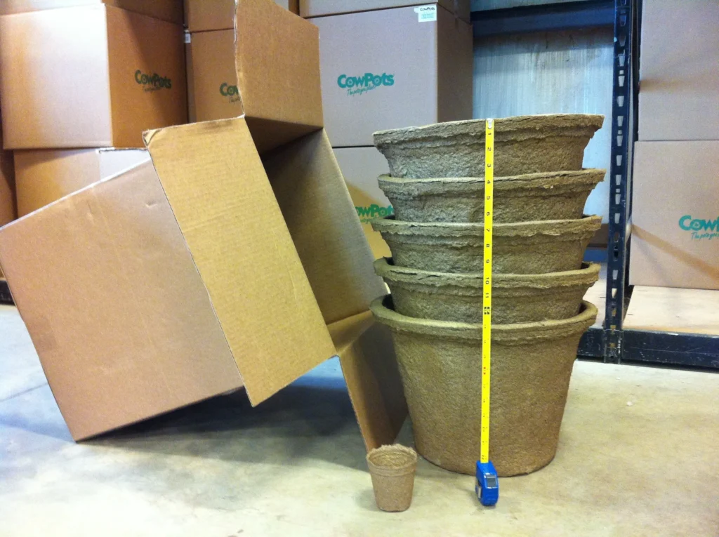 measuring height of 5 large biodegradable pots for shipping.